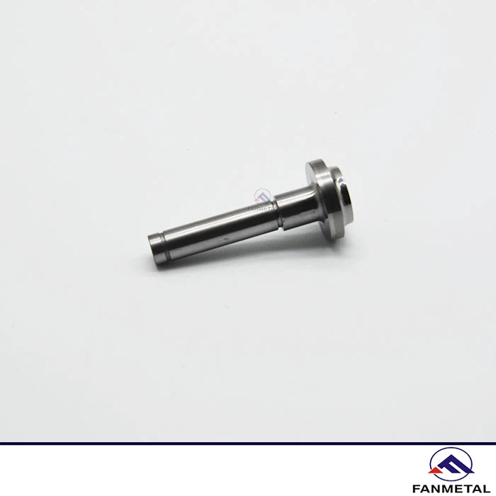 Tungsten Carbide Rivet Head