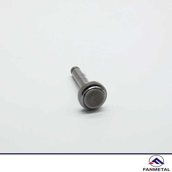 Tungsten Carbide Rivet Tungsten Carbide Rivet